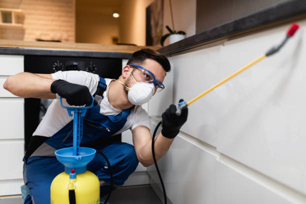 Best Pest Control Near Me in Palm Valley, TX