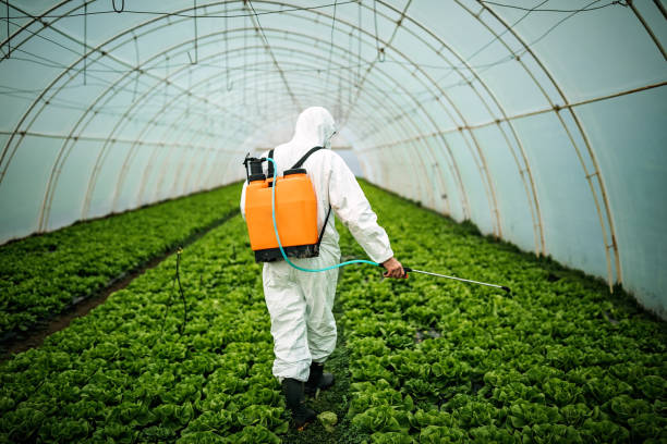 Best Best Pest Control Near Me  in Palm Valley, TX