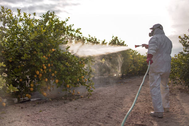 Bird Control in Palm Valley, TX
