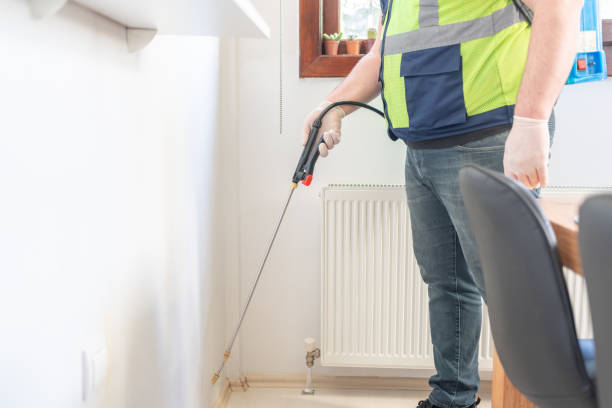 Best Affordable Pest Control Services  in Palm Valley, TX