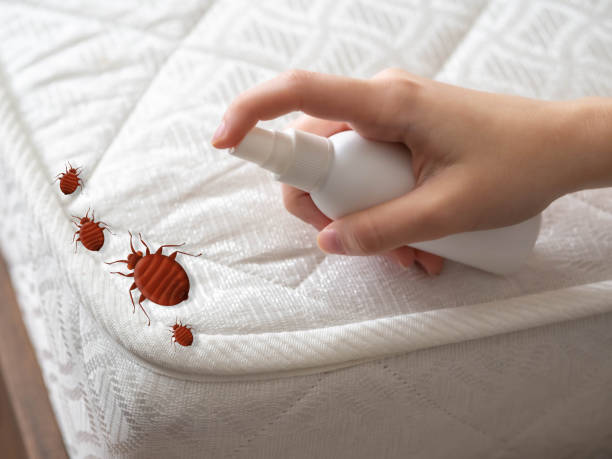 Palm Valley, TX Pest Control Company