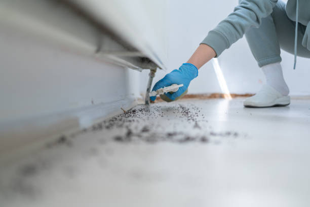 Best Pest Prevention Services  in Palm Valley, TX